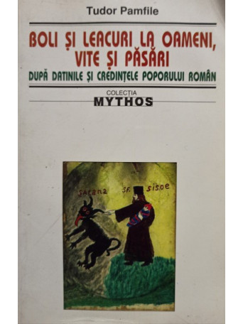 Boli si leacuri la oameni, vite si pasari