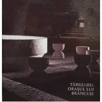 TarguJiu, orasul lui Brancusi