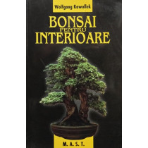 Bonsai pentru interioare