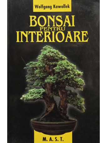 Bonsai pentru interioare