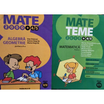 Matematica - Algebra, geometrie, clasa a VII-a, 2 vol.