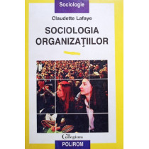 Sociologia organizatiilor