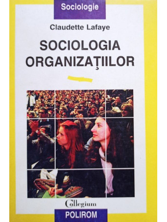Sociologia organizatiilor