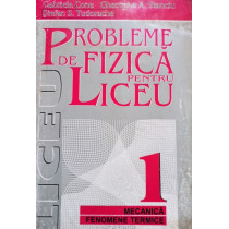 Probleme de fizica pentru liceu, vol. 1