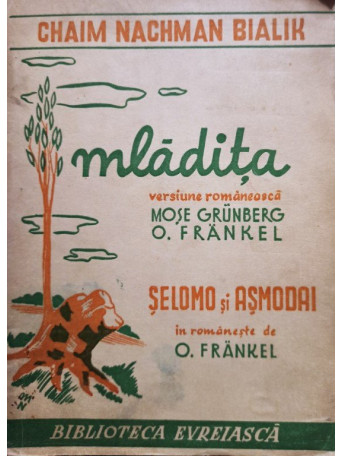 Mladita