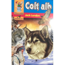 Colt Alb