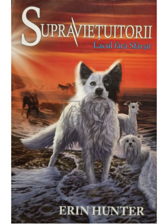 Supravietuitorii. Lacul fara sfarsit