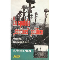 In spatele cortinei politice