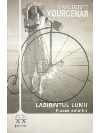 Labirintul lumii - Pioase amintiri