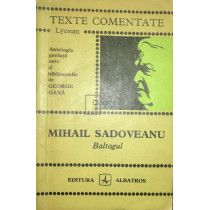 Mihail Sadoveanu - Baltagul