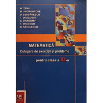 Matematica. Culegere de exercitii si probleme pentru clasa a XI-a