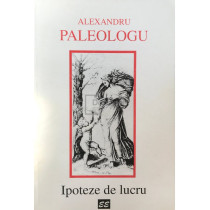 Ipoteze de lucru
