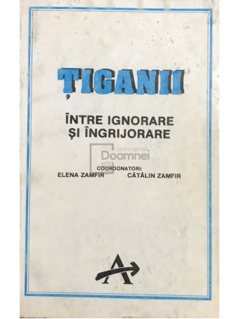 Tiganii. Intre ignorare si ingrijorare