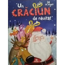 Un Craciun de neuitat - 24 de povesti