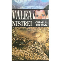 Valea Nistrei