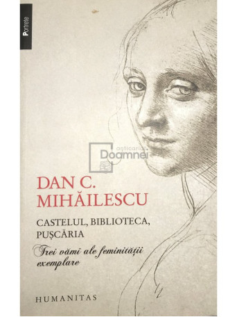 Dan C. Mihailescu - Castelul, biblioteca, puscaria - 2013 - Brosata