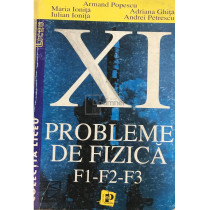 Probleme de fizica