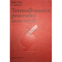 Termodinamica proceselor ireversibile