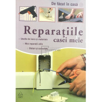 Reparatiile casei mele
