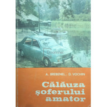Calauza soferului amator