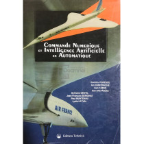 Commande numerique et intelligence artificielle en automatique (semnata)