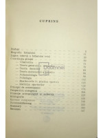 Fotbalul sinergic
