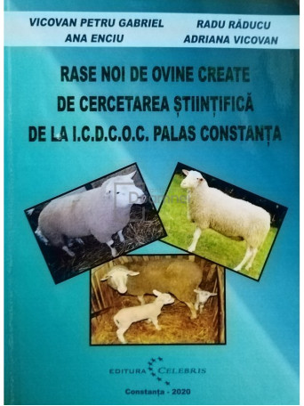 Rase noi de ovine create de cercetarea stiintifica de la ICDCOC Palas Constanta