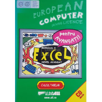 ECDL, modulul 4 - Excel. Nivel avansat