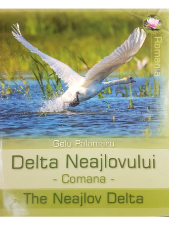 Gelu Palamaru - Delta Neajlovului - 2014 - Brosata