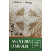 Aventura lemnului