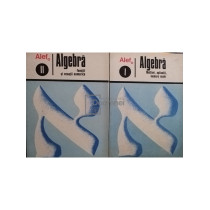 Alef - Algebra (Multimi, aplicatii, numere reale; Functii si ecuatii numerice), 2 vol.
