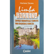 Limba engleza. Sinteza gramaticala completa prin enunturi si exercitii