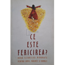 Ce este fericirea?