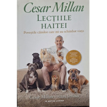 Lectiile haitei