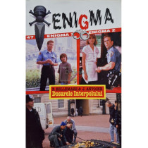 Dosarele interpolului