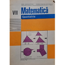 Matematica - Geometrie - Manual pentru clasa a VII-a