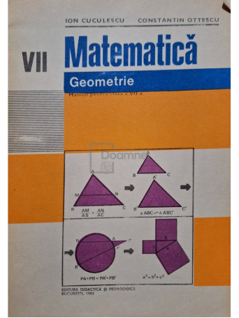 Matematica - Geometrie - Manual pentru clasa a VII-a