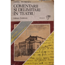 Comentarii si delimitari in teatru