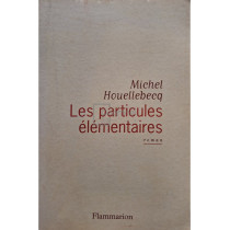 Les particules elementaires