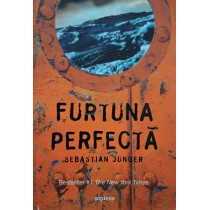 Furtuna perfecta