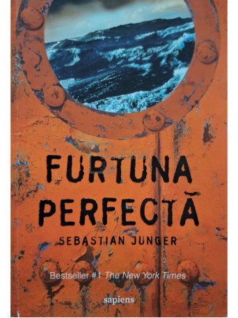 Furtuna perfecta