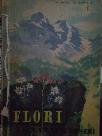Florin din muntii nostri