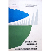 Orientari actuale in hidroenergetica