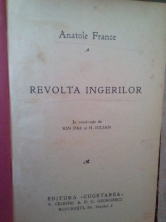 Revolta ingerilor