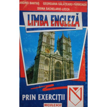 Limba engleza prin exercitii