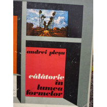 Calatorie in lumea formelor