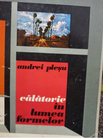 Calatorie in lumea formelor