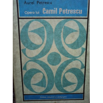 Opera lui Camil Petrescu