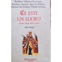 Ce este un lucru?