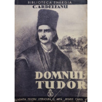 Domnul Tudor